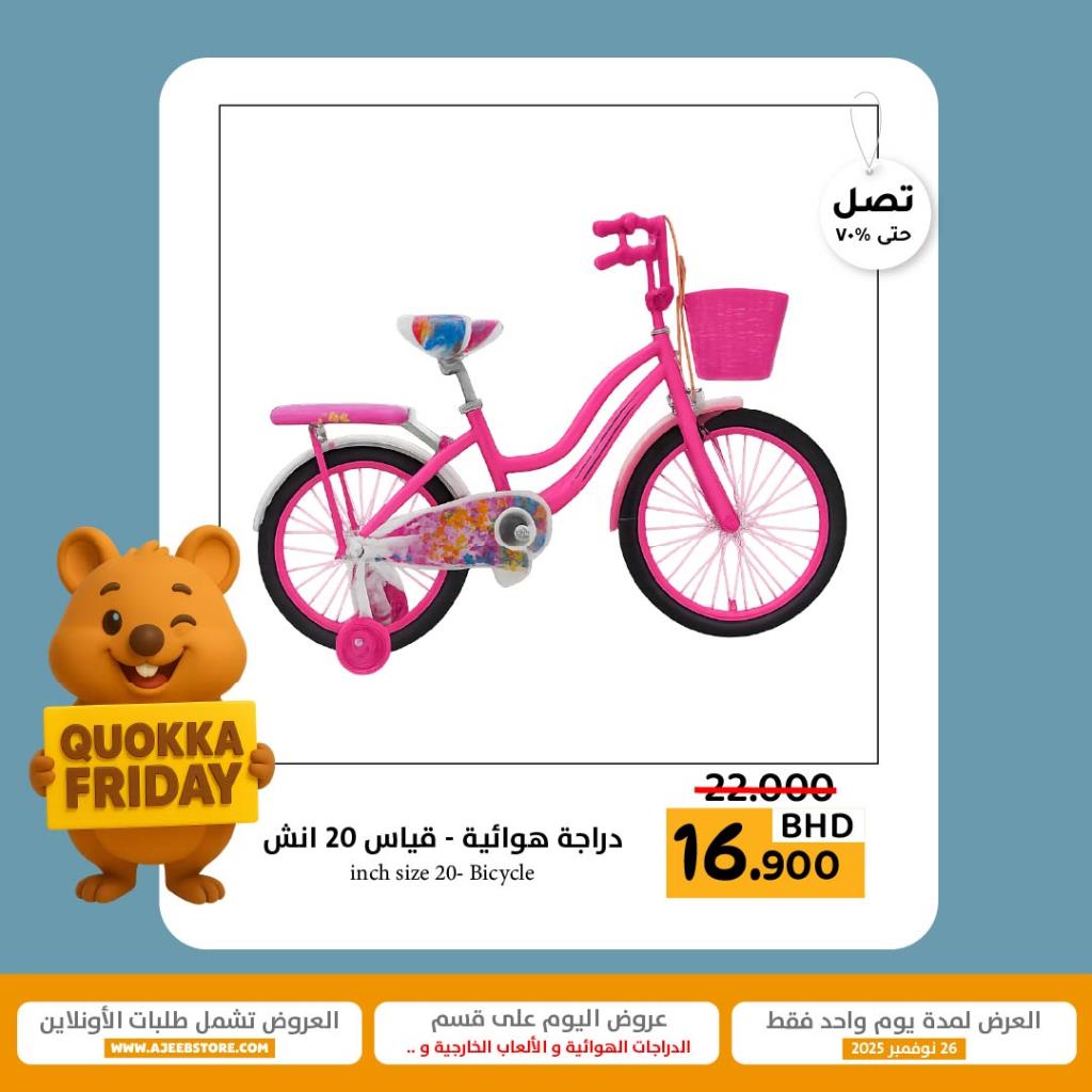 Girls Pink Bicycle with Basket & Training Wheels – 20 Inch